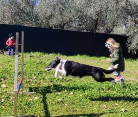 scuola infanzia privata asilo gavorrano grosseto follonica aula in natura aula nel bosco