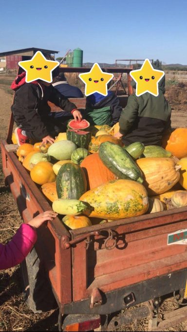 scuola infanzia privata gavorrano grosseto follonica aula in natura aula nel bosco
