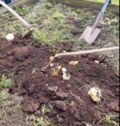 scuola infanzia privata gavorrano grosseto follonica aula in natura aula nel bosco