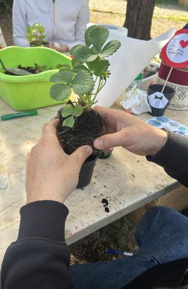 scuola infanzia privata gavorrano grosseto follonica aula in natura aula nel bosco