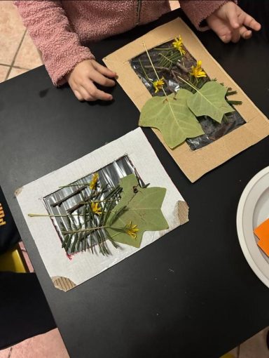 scuola infanzia privata asilo gavorrano grosseto follonica aula in natura aula nel bosco